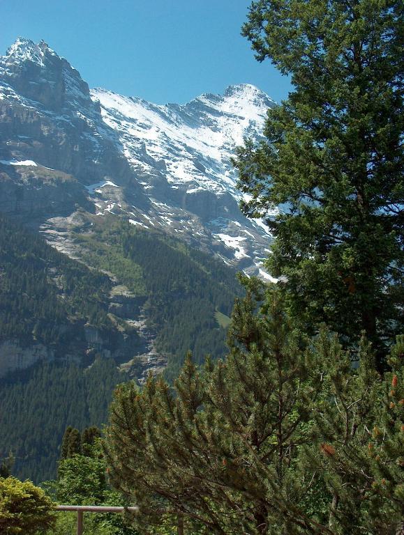 Ferienwohnungen Chalet Hohturnen 格林德瓦 外观 照片