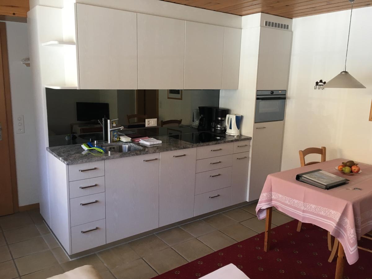 Ferienwohnungen Chalet Hohturnen 格林德瓦 外观 照片